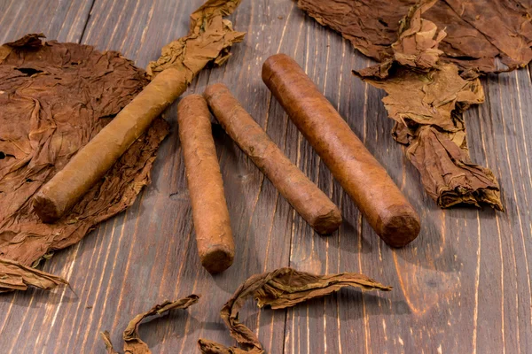 Cigars and tobacco leaves — Stock Photo, Image