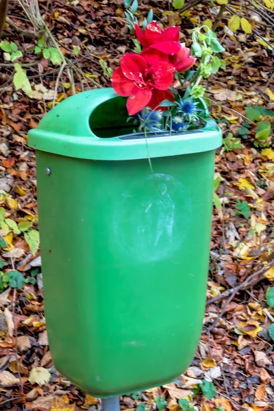 垃圾桶里的花 — 图库照片