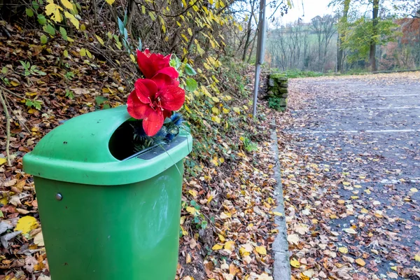 Blumen im Müll — Stockfoto