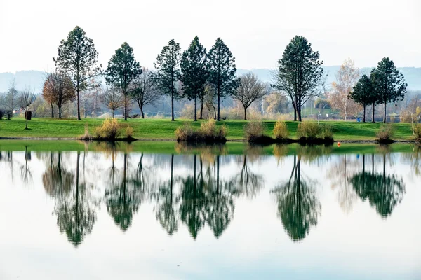 Arbres réfléchissant dans le lac — Photo