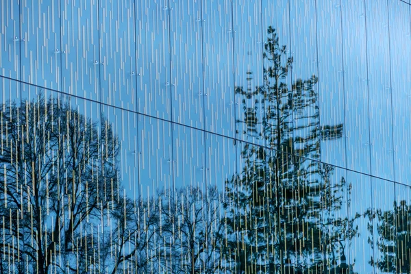 Bomen weerspiegeld in voorzijde van glas — Stockfoto