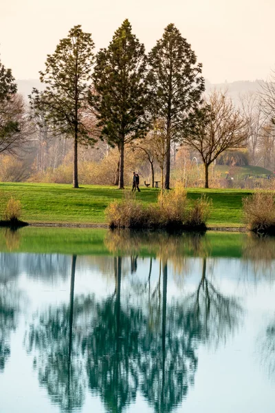 Bäume spiegeln sich im See — Stockfoto