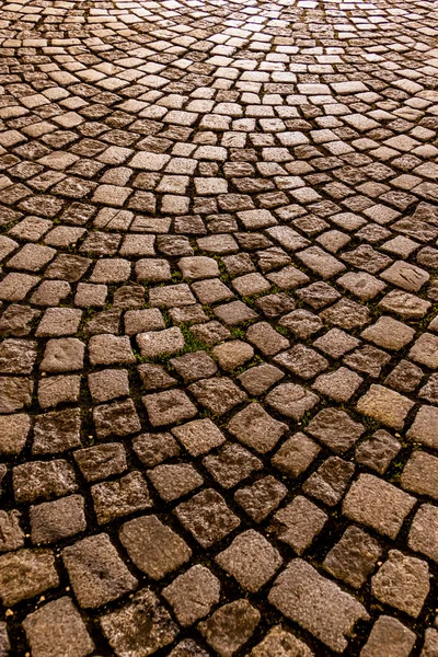 Arnavut kaldırımlı yakın çekim — Stok fotoğraf