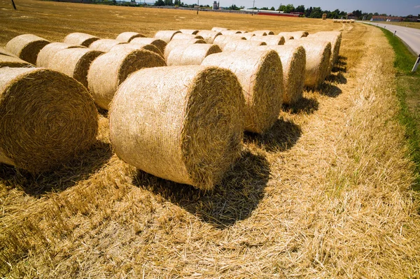 Bales jerami dan sereal di lapangan — Stok Foto