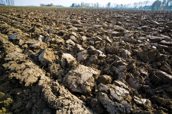 Plowed field of a farmer — Stock Photo, Image