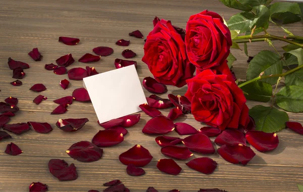 Roses for valentines day and mothers day — Stock Photo, Image