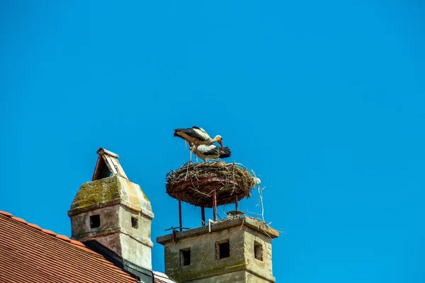 Austria, rust. nest of a stork — Stock Photo, Image