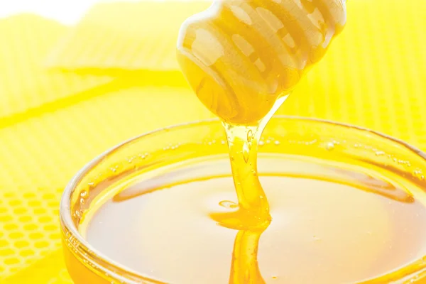 Honey against a white background — Stock Photo, Image