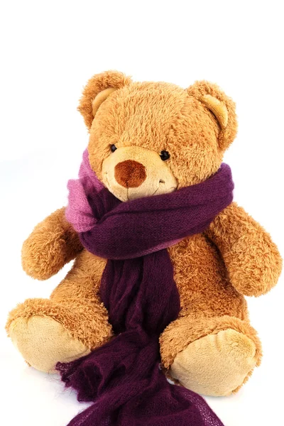 Teddybjörn med termometer — Stockfoto