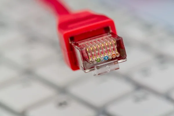 Cabo de rede no teclado — Fotografia de Stock