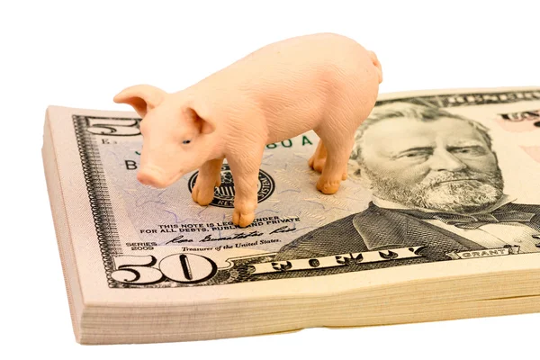 달러 지폐에 돼지 — 스톡 사진