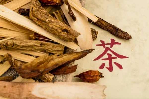 Té medicina tradicional china — Foto de Stock