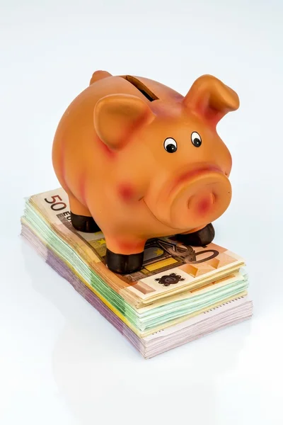 Sparschwein auf Banknoten — Stockfoto