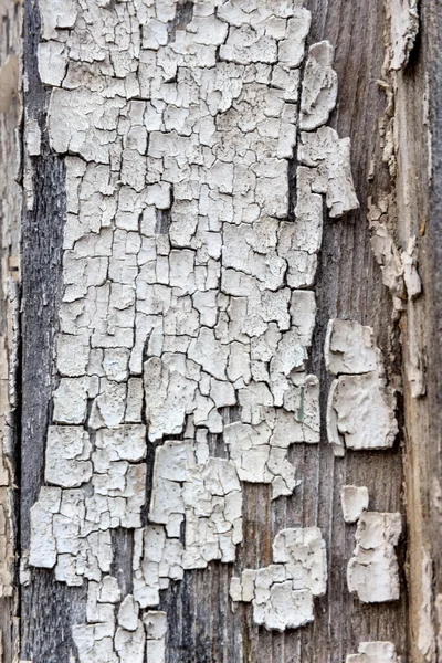 Exfoliated color — Stock Photo, Image