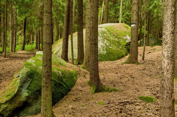 Alt avusturya, Kautzen, akrep yer — Stok fotoğraf