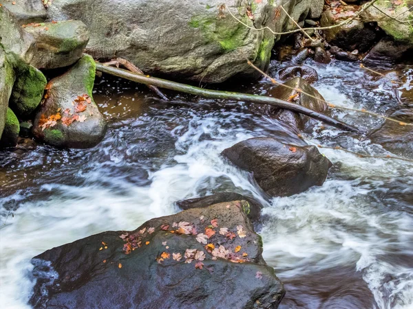 Creek with running water — Stock fotografie