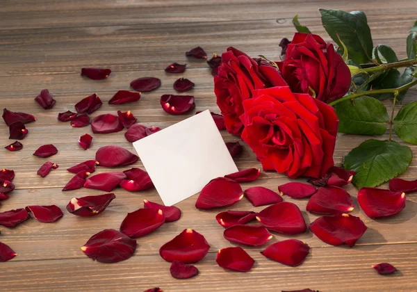 Roses for valentines day and mothers day — Stock Photo, Image