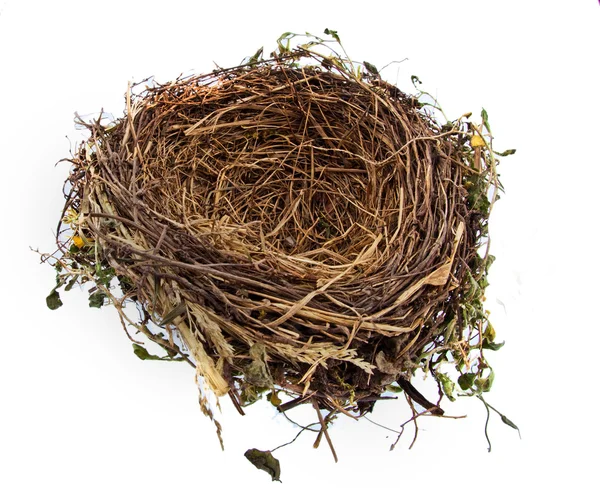 Empty birds nest — Stock Photo, Image