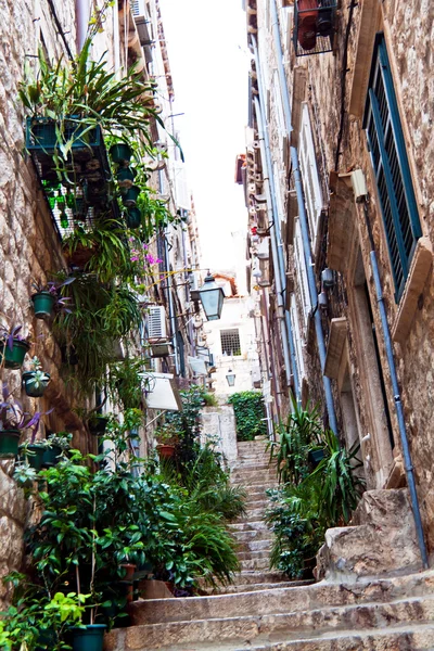 Croacia, dubrovnik, callejón lateral — Foto de Stock