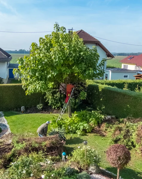 Jardinier au travail — Photo