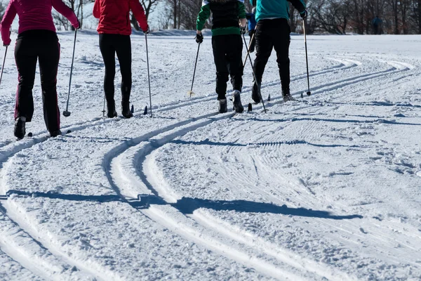 Sporty zimowe narciarstwo biegowe — Zdjęcie stockowe