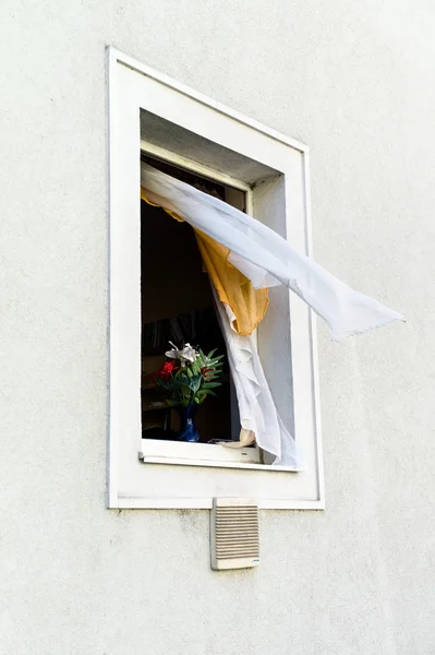 Öppna fönster, blomma på fönsterbrädan — Stockfoto