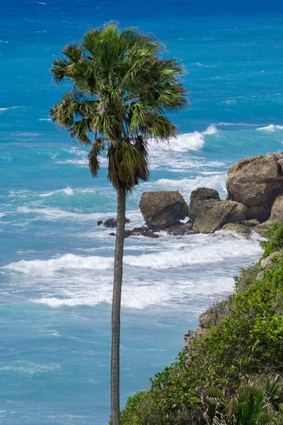 Vista al mar con palmeras y piedras —  Fotos de Stock