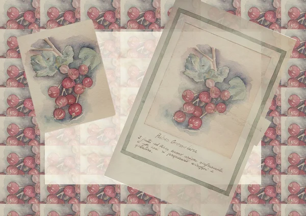 Handritade akvarellmålning dekorativa-Ribes grossularia — Stockfoto