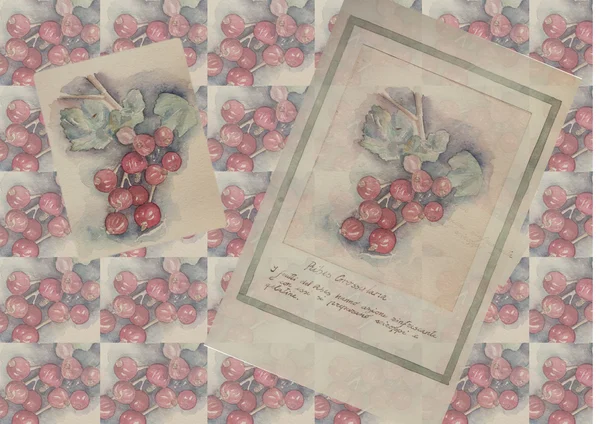 Kézzel rajzolt akvarell festés dekoratív-Ribes grossularia Jogdíjmentes Stock Képek