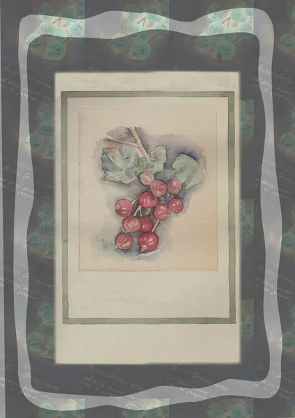 Kézzel rajzolt akvarell festés dekoratív-Ribes grossularia Stock Fotó