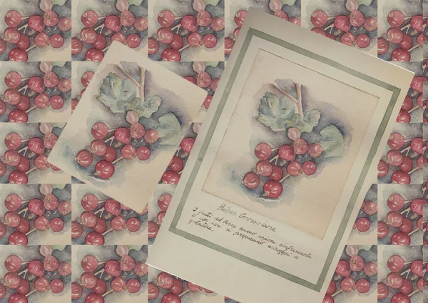Kézzel rajzolt akvarell festés dekoratív-Ribes grossularia Stock Kép