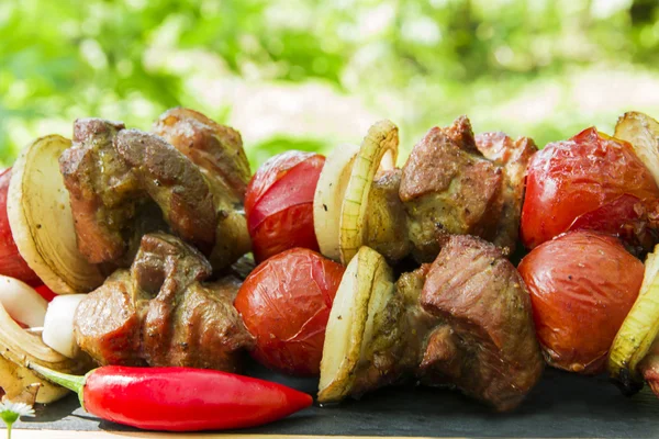 Espetinhos de kebab carne grelhada com legumes na natureza — Fotografia de Stock