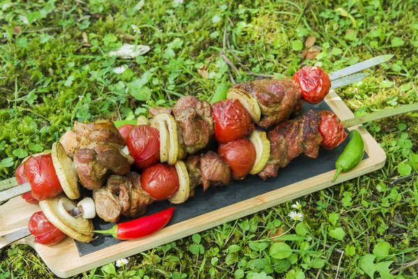Кебаб шампуры гриль мясо с овощами в природе — стоковое фото