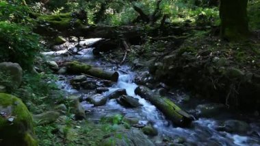 hızlı dağ nehir taşları üzerinde çalışan