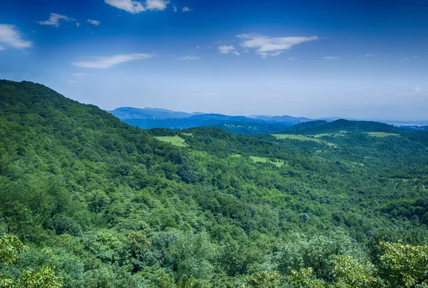 푸른 여름 햇빛에 산 숲 풍경 하늘 조지아 — 스톡 사진