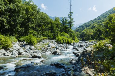 dağ nehir rapids Caucasus mavi su yeşil orman