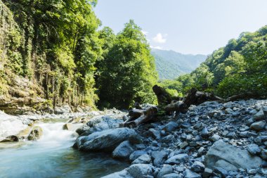 dağ nehir rapids Caucasus mavi su yeşil orman