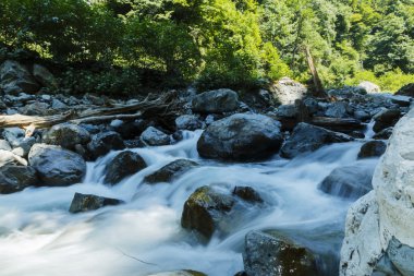 dağ nehir rapids Caucasus mavi su yeşil orman