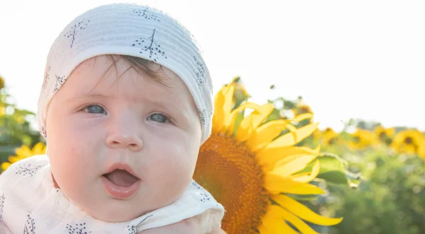 Retrato Hermoso Bebé Una Niña Cinco Meses Campo Girasoles Fondo — Foto de Stock