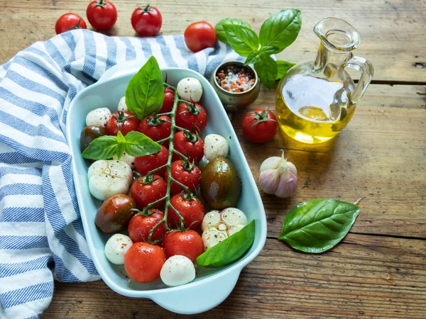 新鲜蔬菜番茄 莫扎拉奶酪 用于烤箱中的陶瓷盘 图库图片
