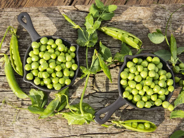 Ferske Grønne Erter Som Unge Bollen Trebord Med Topputsikt Frø – stockfoto