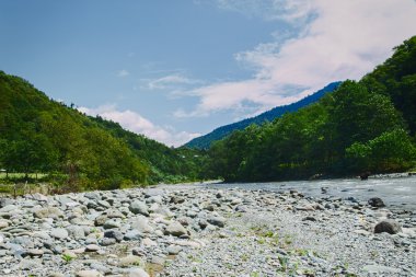 Yeşil orman manzara nehir Georgia ile kaplı dağları