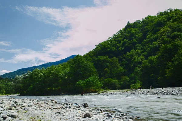 Montagnes couvertes de verdure forêt paysage rivière Géorgie — Photo