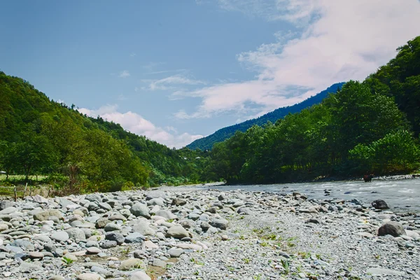Montagnes couvertes de verdure forêt paysage rivière Géorgie — Photo