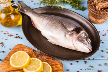 Balık dorado ahşap arka plan üzerinde