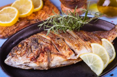 Balık dorado ahşap arka plan üzerinde