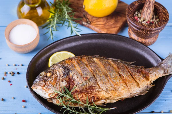 Balık dorado ahşap arka plan üzerinde