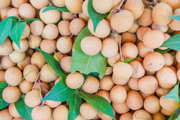 Mangostan frukt färsk — Stockfoto