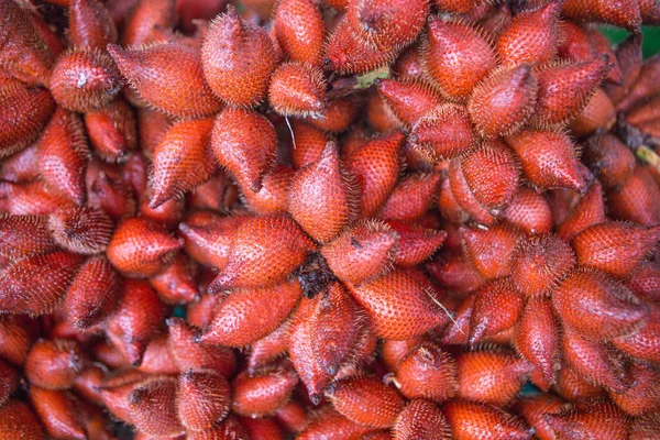 Thailand fruit Salacca — Stock Photo, Image