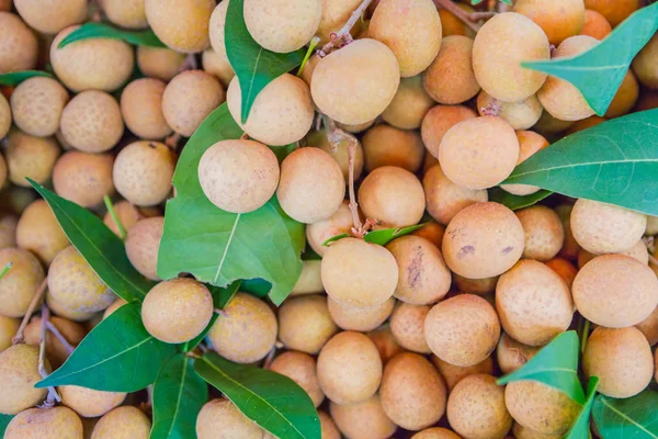 Mangostan frukt färsk — Stockfoto